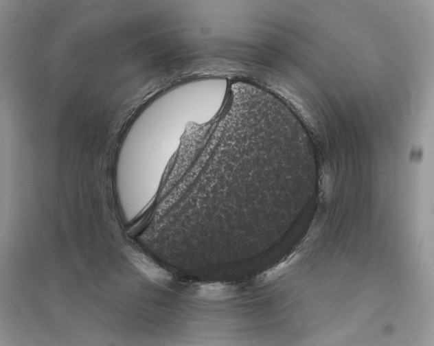 X0000094440309200711291642