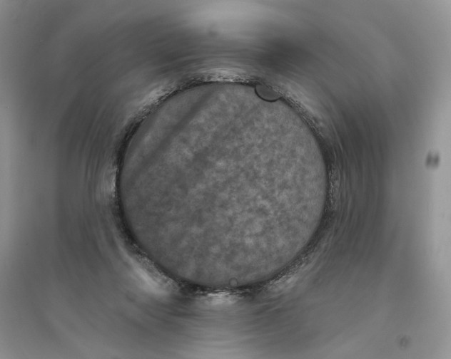 X0000094440310200711291642