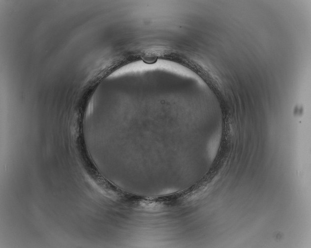 X0000094440311200711291642