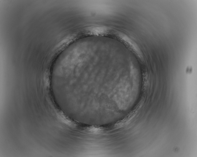 X0000094440313200711291642