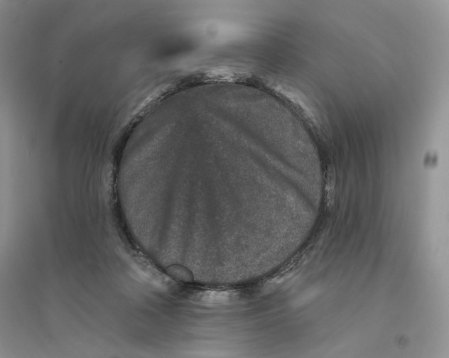 X0000094440314200711291642