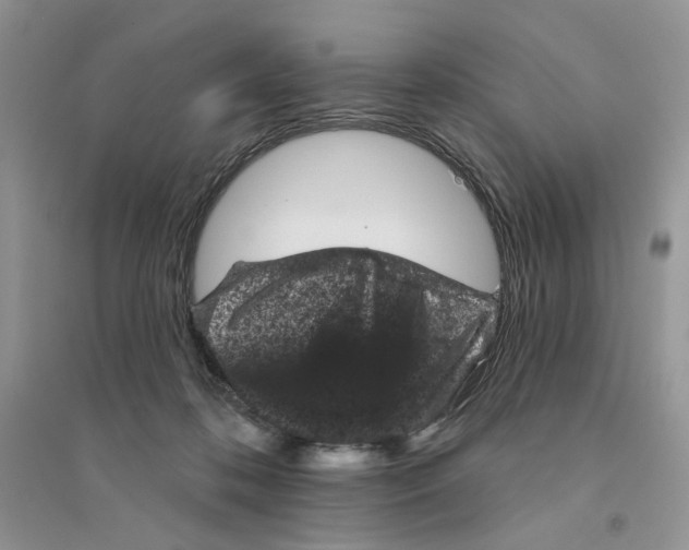 X0000094440316200711291642