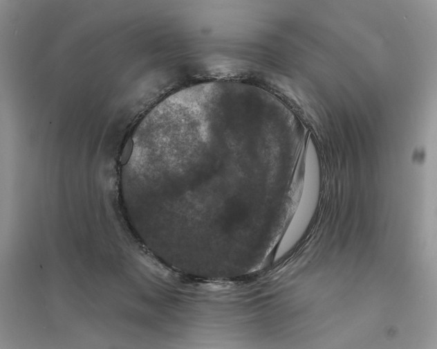 X0000094440317200711291642