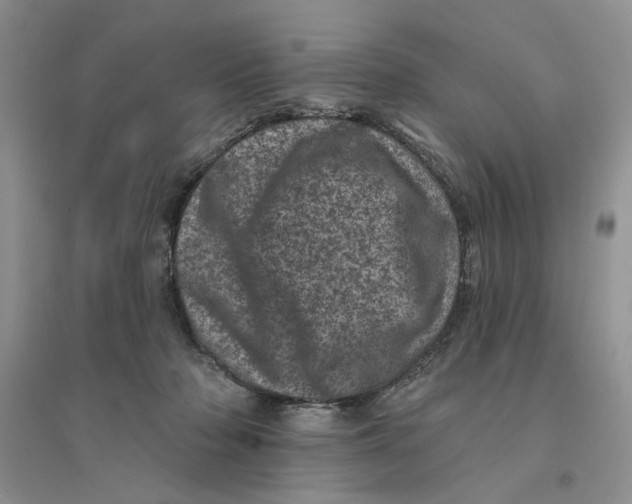 X0000094440318200711291642