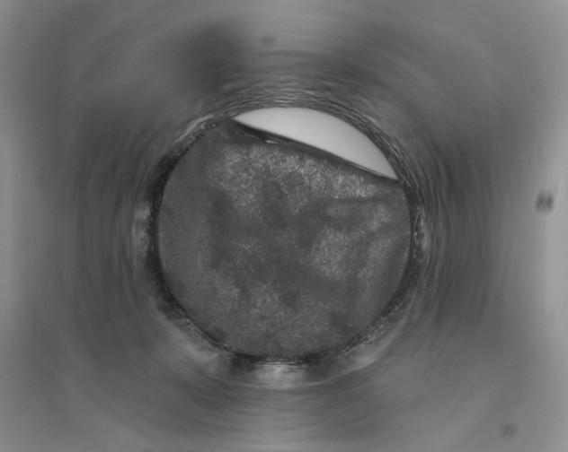 X0000094440319200711291642