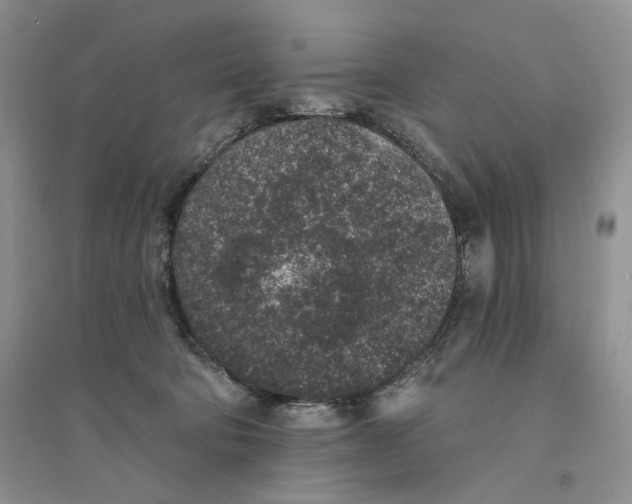 X0000094440322200711291642