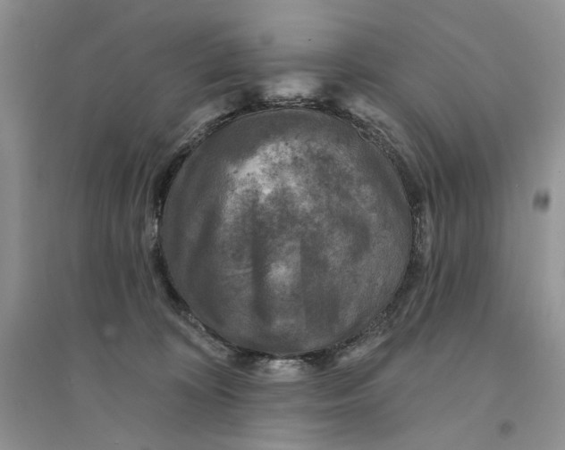 X0000094440324200711291642