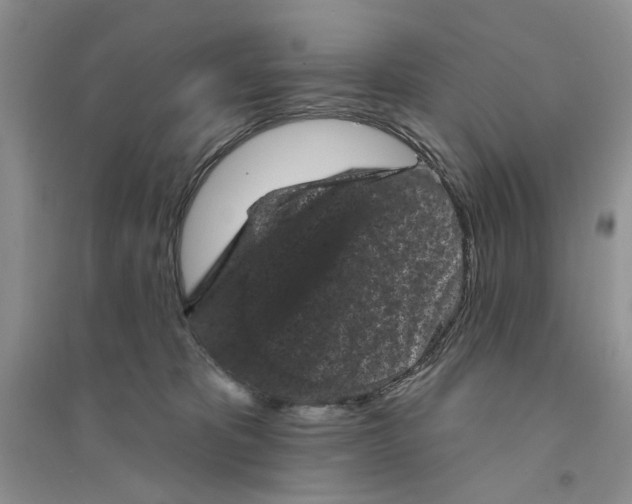 X0000094440325200711291642