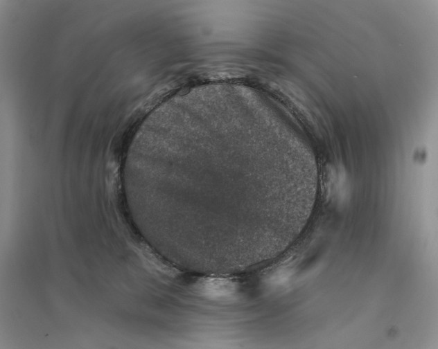 X0000094440327200711291642