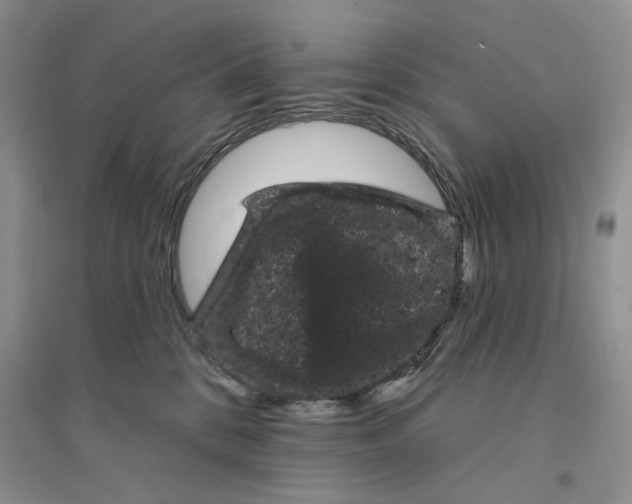 X0000094440328200711291642