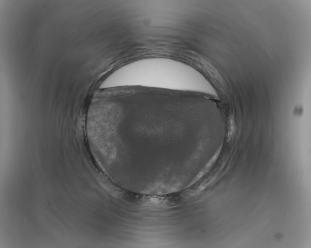 X0000094440329200711291642