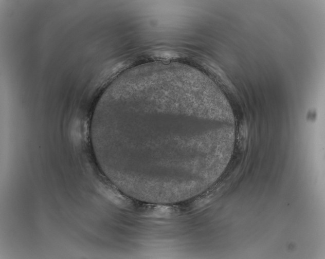 X0000094440330200711291642