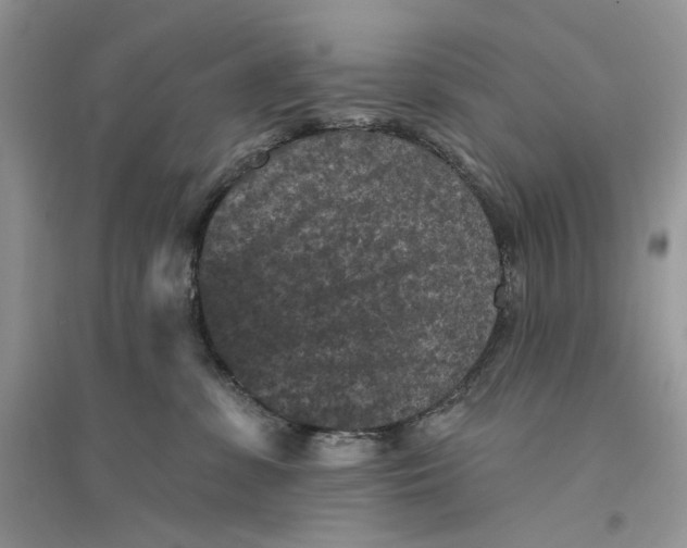 X0000094440331200711291642