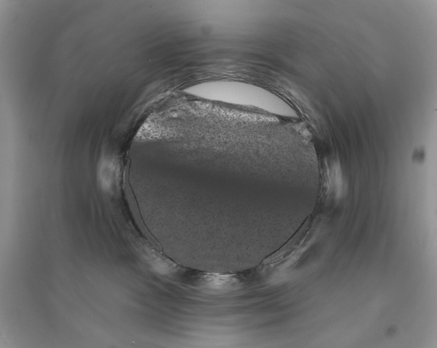 X0000094440333200711291642