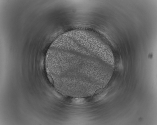 X0000094440334200711291642