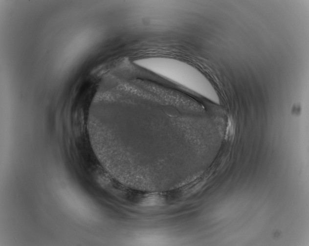 X0000094440335200711291642