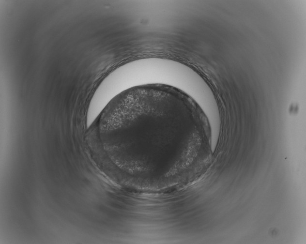 X0000094440336200711291642