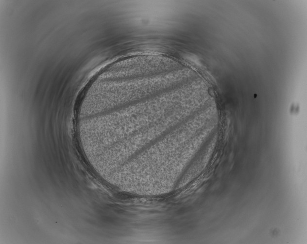 X0000094440338200711291641