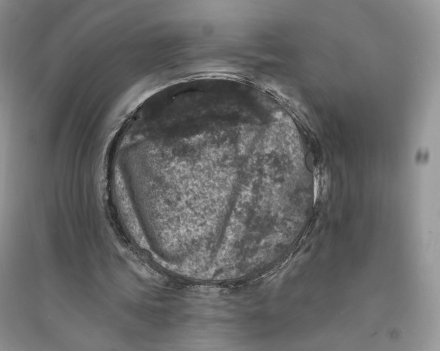 X0000094440339200711291641