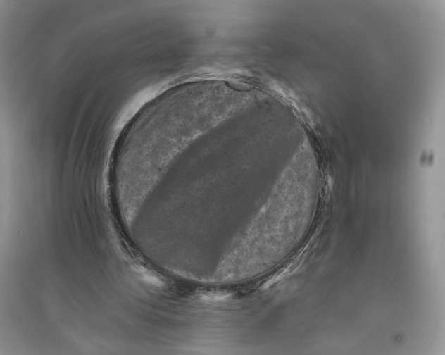 X0000094440340200711291641