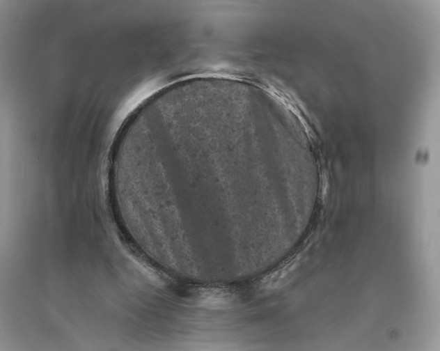 X0000094440344200711291641