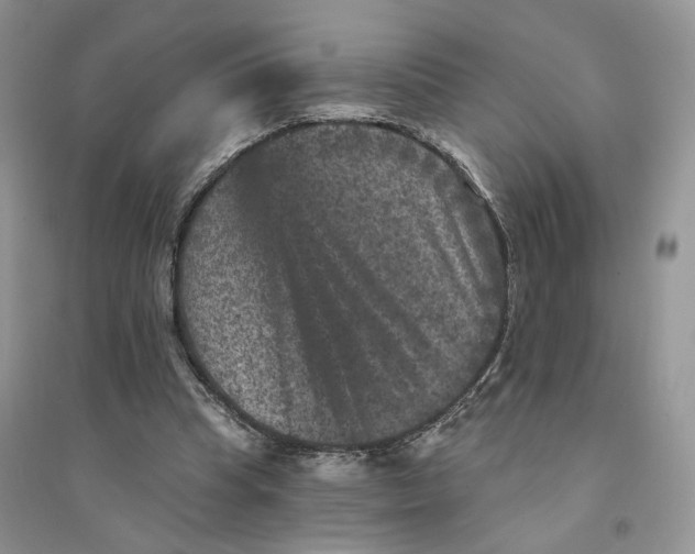 X0000094440345200711291641