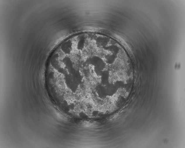 X0000094440346200711291641