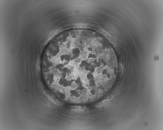 X0000094440347200711291641