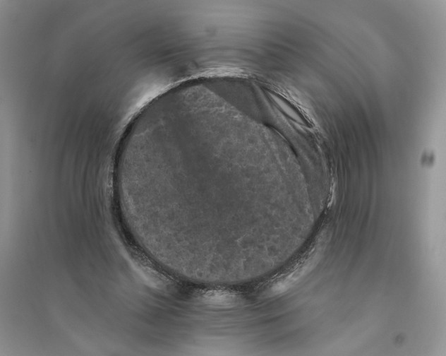 X0000094440348200711291642