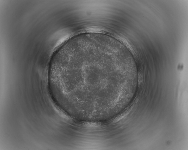 X0000094440349200711291642