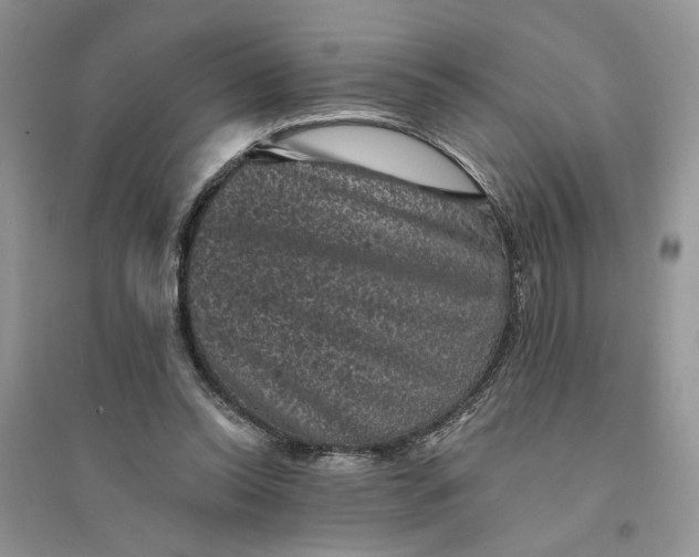 X0000094440350200711291642