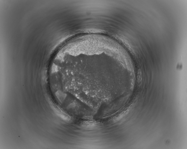 X0000094440351200711291642