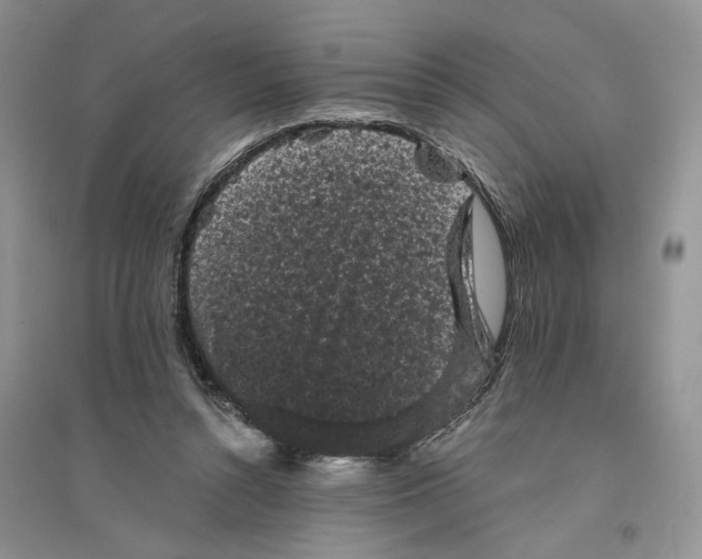 X0000094440352200711291642