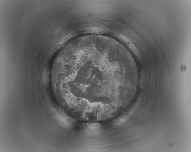 X0000094440355200711291642