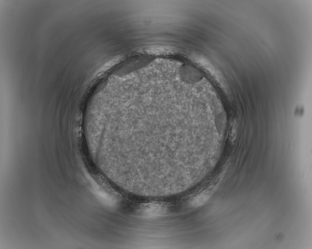 X0000094440356200711291642