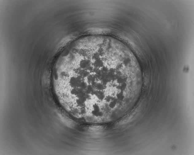 X0000094440357200711291642