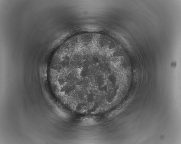 X0000094440358200711291642