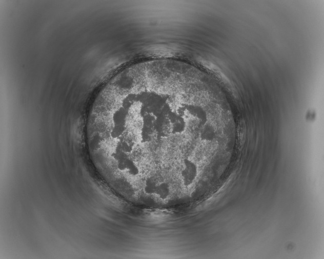 X0000094440359200711291642