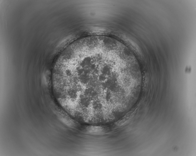 X0000094440361200711291642