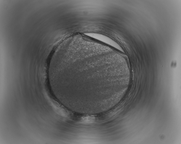 X0000094440362200711291642