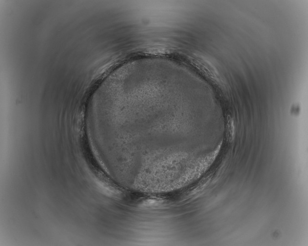 X0000094440364200711291642