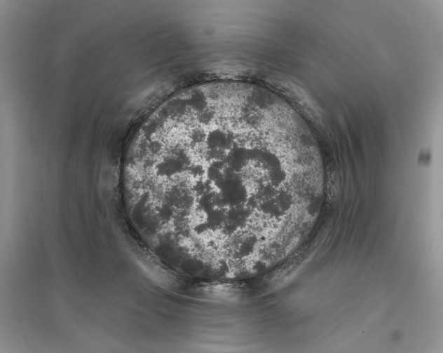 X0000094440365200711291642