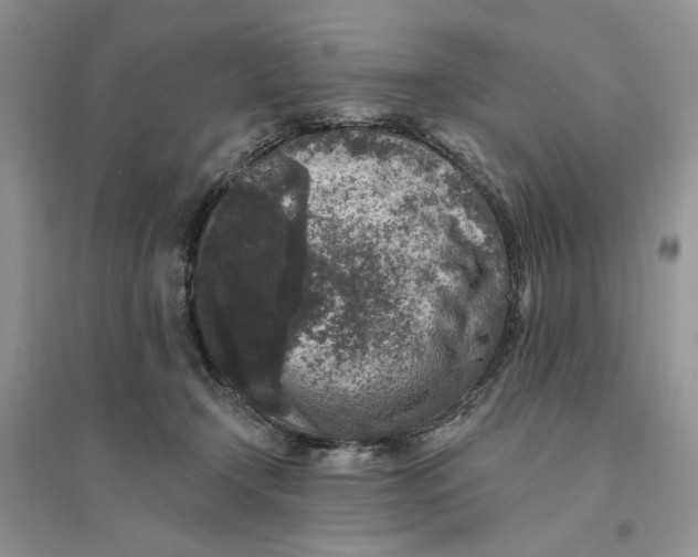 X0000094440366200711291642