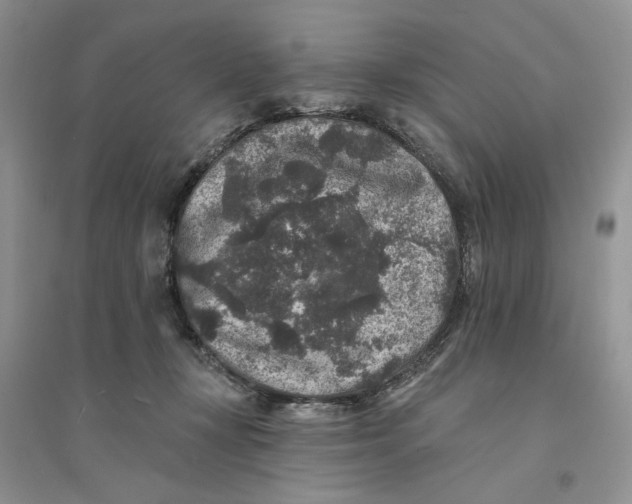 X0000094440367200711291642