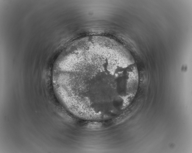 X0000094440369200711291642