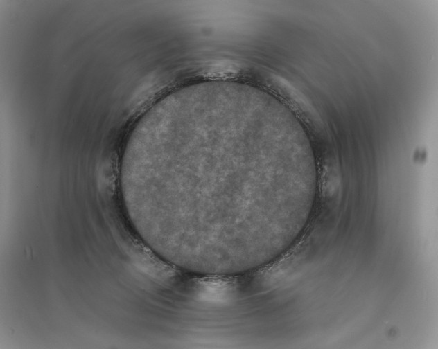 X0000094440370200711291642