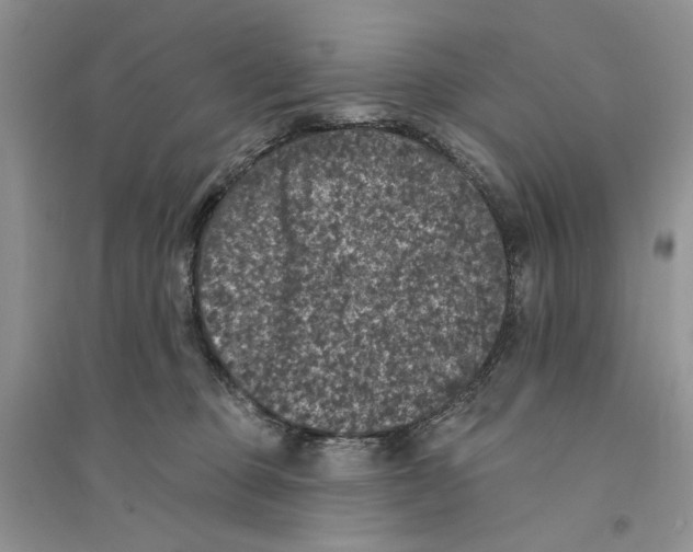 X0000094440373200711291642