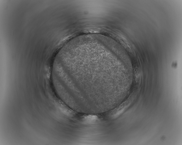 X0000094440374200711291642