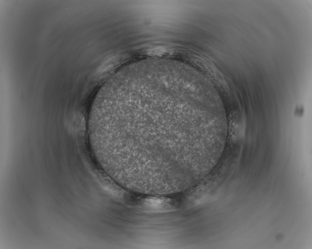 X0000094440375200711291642