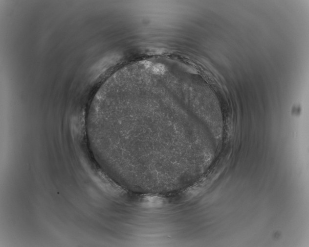 X0000094440376200711291642